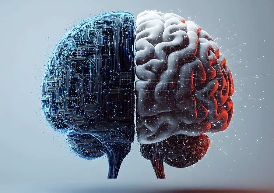 Energia Humana… é Energia Renovável!